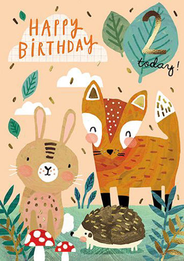 Picture of 2 TODAY BIRTHDAY CARD